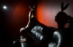 Проститутка киева:Зайчики Playboy