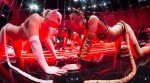 Проститутка киева:Дикие Кошки